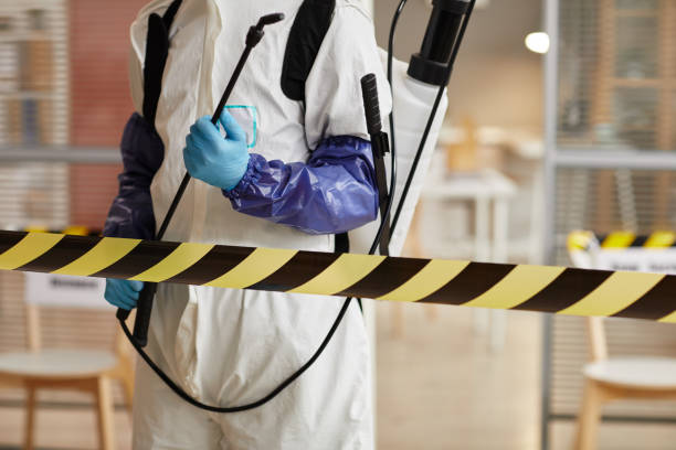 Professional Sewage Cleanup technician working in Monponsett, MA